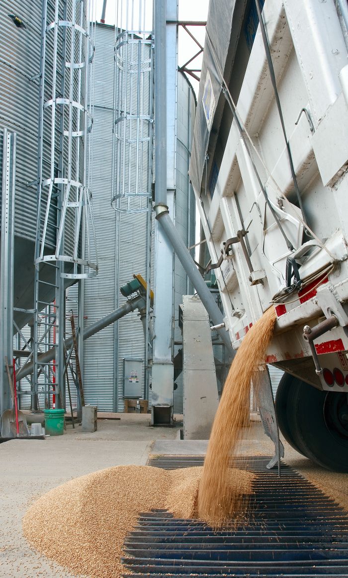 Bulk fertilizer being loaded at an industrial terminal